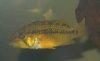 SDC14469.jpg
