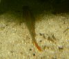 SDC14513.jpg