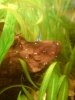 DSC01156.JPG