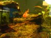DSC00249.JPG