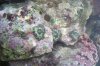 100_2557.jpg