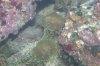100_2566.jpg