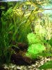 DSCF1512_150x200.JPG