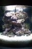 100_2605.jpg