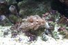 100_2610.jpg