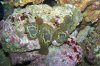 100_2612.jpg