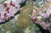 100_2613.jpg