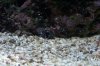 100_2649.jpg