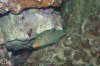 100_2646.jpg