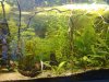 17062010311.jpg