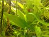 17062010313.jpg