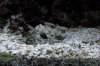 100_2660.jpg