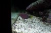100_2679.jpg