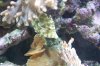 100_2685.jpg