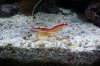 100_2710.jpg