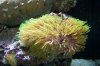 100_2802.jpg