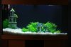 Aquarium.jpg