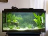 Aquarium-Tag-4-weboptimiert.jpg