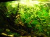 aq20103 064.jpg