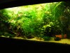 aq20103 080.jpg