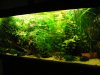 aq20103 079.jpg