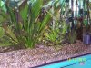 100_0624.JPG
