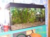 100_0625.JPG
