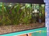100_0626.JPG