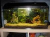Aquarium_1.JPG