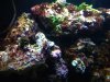 IMG_0762.jpeg