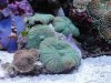 DSC01624.JPG