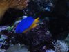 DSC01631.JPG
