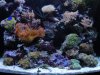 DSC01632.JPG