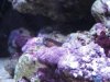 DSC01590.JPG