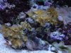 DSC01622.JPG