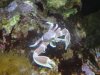 DSC01340.JPG
