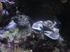 DSC01347.JPG