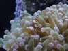 DSC01304.JPG