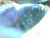 DSCF3453.JPG