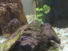 DSCF1319_kl.jpg