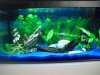 Aqua 14011_1-500.jpg