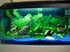 Aqua 280111_1 (2)-500.jpg