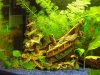 Aqua 280111_1 (3)-500.jpg