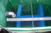 100_3234.JPG