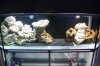 100_3236.JPG