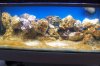 100_3269.JPG