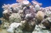 100_3268.JPG