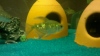 fisch1.png