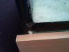 2011-03-21 15.31.56.jpg