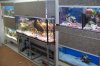 100_3332.JPG